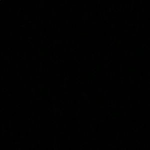 Meet your Posher, Jack